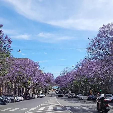 Maestrale Di Sardegna Апартаменты *